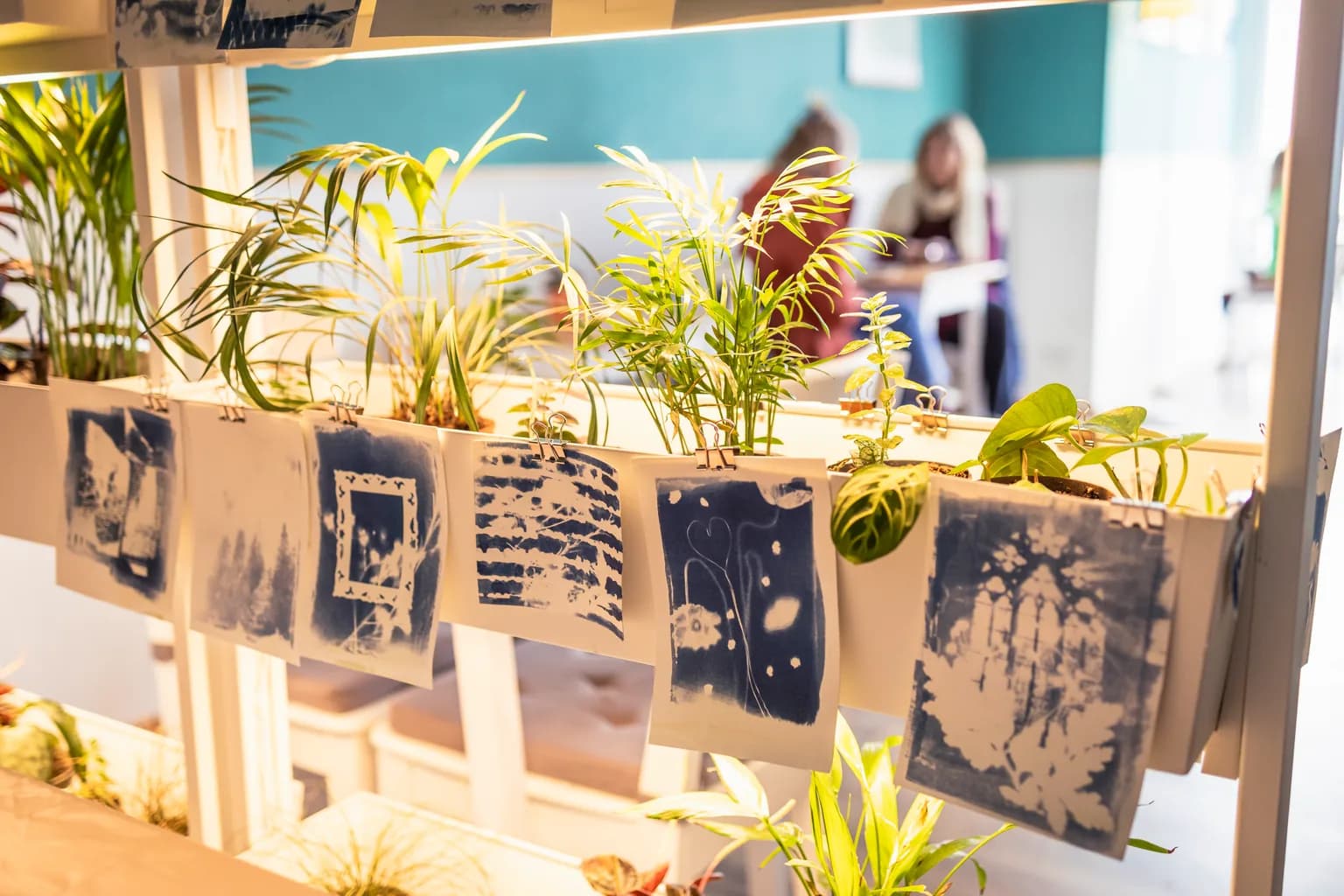 Cyanotype Explained: How Sunlight Creates Prussian-Blue Prints