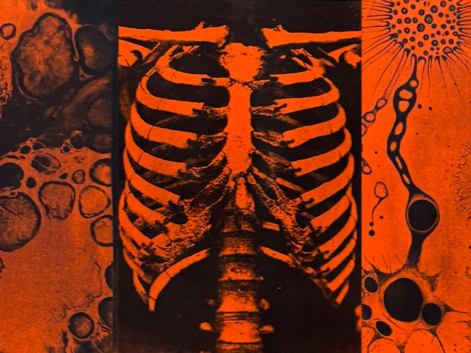 Cyanotype, but make it Halloween 🕯️🧡